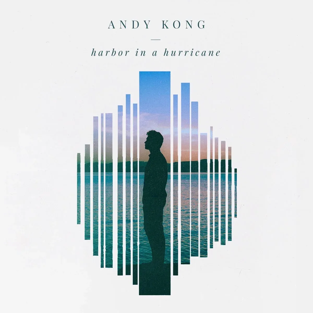 Harbor In A Hurricane cover art