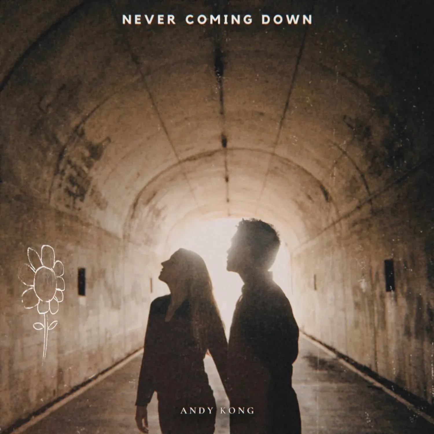 Never Coming Down cover art